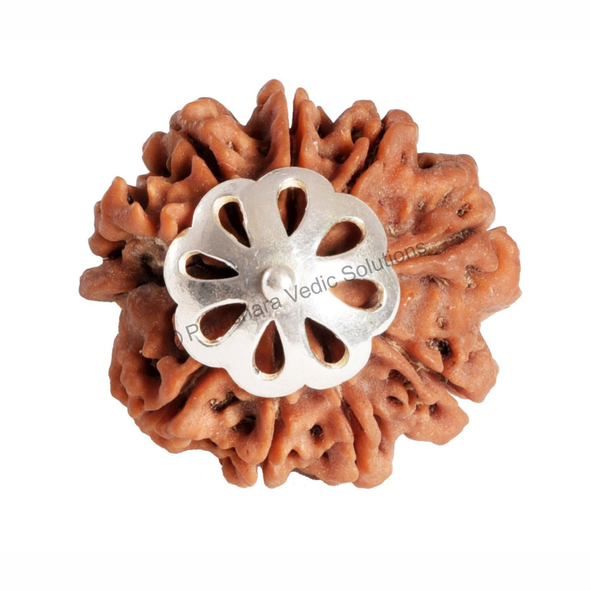 ARKAM Nine Mukhi Rudraksha Certified/ Original Nepali 9 Mukhi Rudraksh/ Natural 9 faced Rudraksha with Silver Pendant (Brown) with Certificate and Puja Instructions - Retail Maharaj