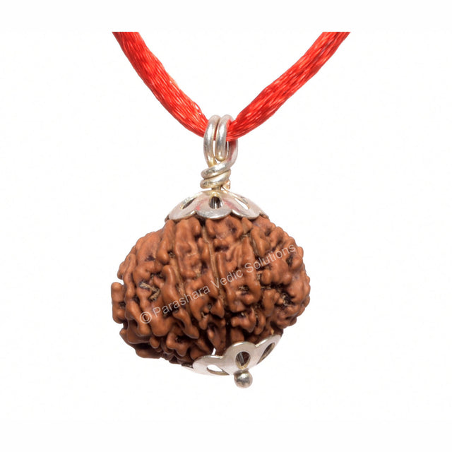 ARKAM Eleven Mukhi Rudraksha Certified/ Original Nepali 11 Mukhi Rudraksh/ Natural 11 faced Rudraksha with Silver Pendant (Brown) with Certificate and Puja Instructions - Retail Maharaj