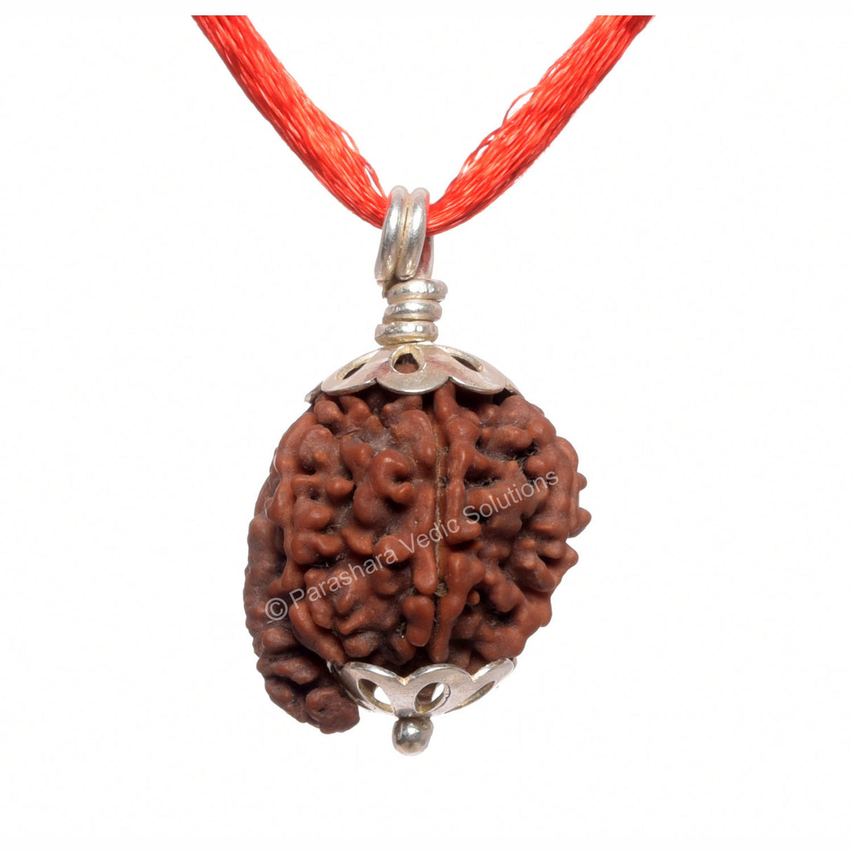 ARKAM Ganesh Rudraksha Certified/ Original Nepali Ganesh Rudraksh/ Natural Ganesh Rudraksha with Silver Pendant (Brown) with Certificate and Puja Instructions - Retail Maharaj