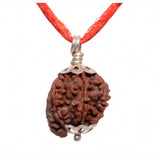 ARKAM Ganesh Rudraksha Certified/ Original Nepali Ganesh Rudraksh/ Natural Ganesh Rudraksha with Silver Pendant (Brown) with Certificate and Puja Instructions - Retail Maharaj