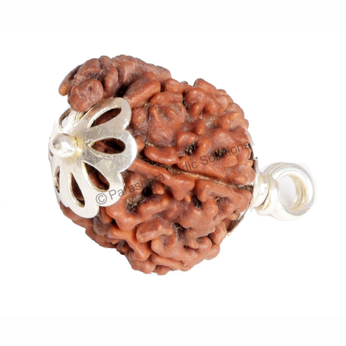 ARKAM Ganesh Rudraksha Certified/ Original Nepali Ganesh Rudraksh/ Natural Ganesh Rudraksha with Silver Pendant (Brown) with Certificate and Puja Instructions - Retail Maharaj