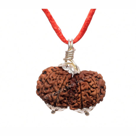 ARKAM Gauri Shankar Rudraksha Certified/ Original Nepali Gauri Shankar Rudraksh/ Natural Gauri Shankar Rudraksha with Silver Pendant (Brown) with Certificate and Puja Instructions - Retail Maharaj