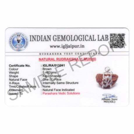 ARKAM One Mukhi Rudraksha Certified Kaju Dana/ Original 1 Mukhi Rudraksh Kaju Dana/ Natural 1 faced Rudraksha with Silver Pendant (Brown) with Certificate and Puja Instructions - Retail Maharaj