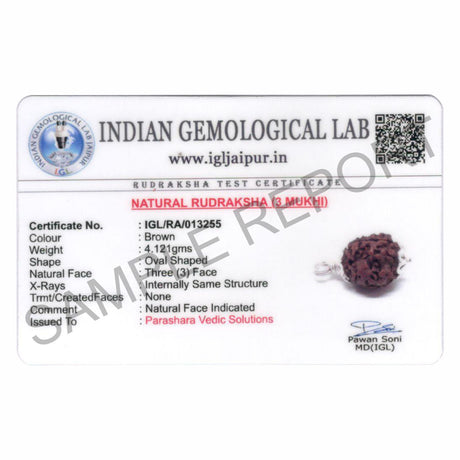 ARKAM Three Mukhi Rudraksha Certified/ Original Nepali 3 Mukhi Rudraksh/ Natural 3 faced Rudraksha with Silver Pendant (Brown) with Certificate and Puja Instructions - Retail Maharaj