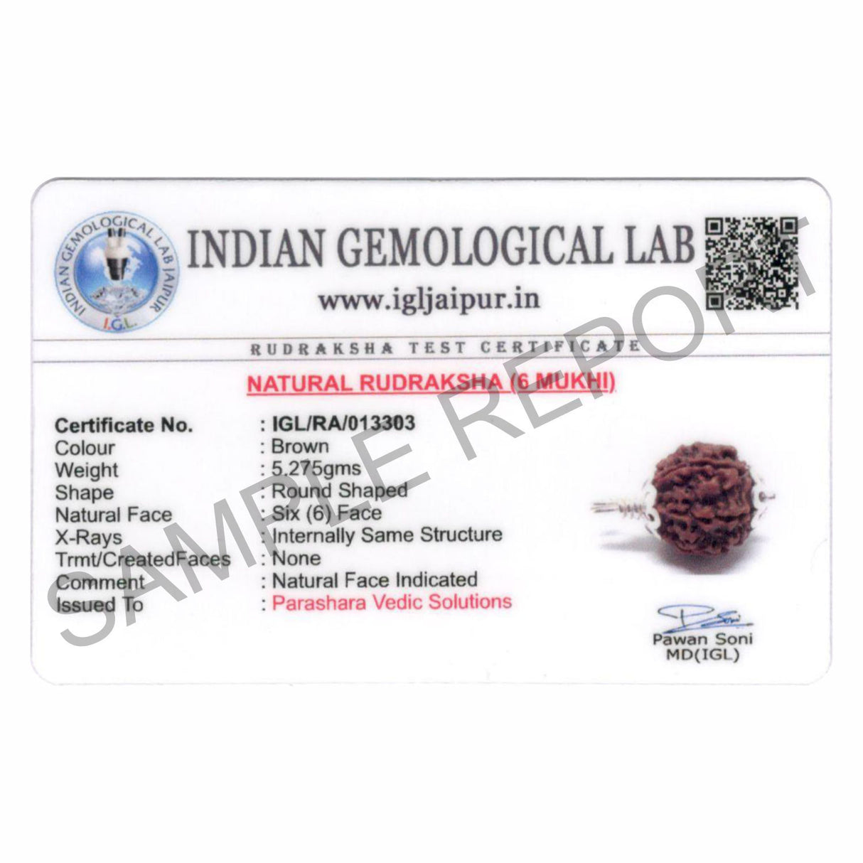 ARKAM Six Mukhi Rudraksha Certified/ Original Nepali 6 Mukhi Rudraksh/ Natural 6 faced Rudraksha with Silver Pendant (Brown) with Certificate and Puja Instructions - Retail Maharaj