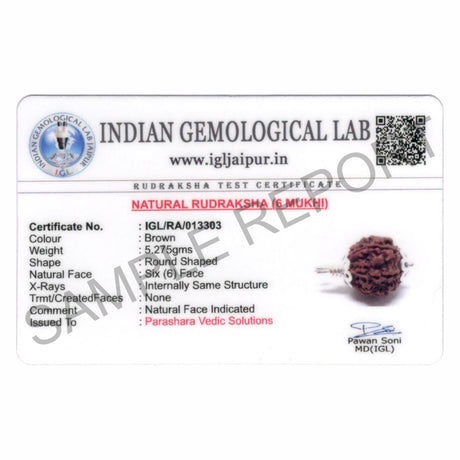 ARKAM Six Mukhi Rudraksha Certified/ Original Nepali 6 Mukhi Rudraksh/ Natural 6 faced Rudraksha with Silver Pendant (Brown) with Certificate and Puja Instructions - Retail Maharaj