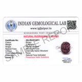 ARKAM Seven Mukhi Rudraksha Certified/ Original Nepali 7 Mukhi Rudraksh/ Natural 7 faced Rudraksha with Silver Pendant (Brown) with Certificate and Puja Instructions - Retail Maharaj