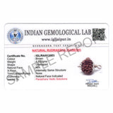 ARKAM Ganesh Rudraksha Certified/ Original Nepali Ganesh Rudraksh/ Natural Ganesh Rudraksha with Silver Pendant (Brown) with Certificate and Puja Instructions - Retail Maharaj