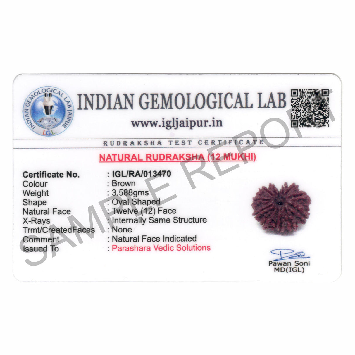 ARKAM Twelve Mukhi Rudraksha Certified/ Original Nepali 12 Mukhi Rudraksh/ Natural 12 faced Rudraksha (Brown) with Certificate and Puja Instructions - Retail Maharaj