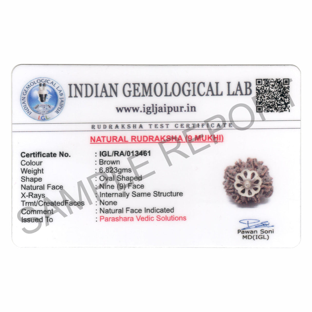 ARKAM Nine Mukhi Rudraksha Certified/ Original Nepali 9 Mukhi Rudraksh/ Natural 9 faced Rudraksha with Silver Pendant (Brown) with Certificate and Puja Instructions - Retail Maharaj