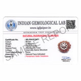 ARKAM Twelve Mukhi Rudraksha Certified/ Original Nepali 12 Mukhi Rudraksh/ Natural 12 faced Rudraksha with Silver Pendant (Brown) with Certificate and Puja Instructions - Retail Maharaj