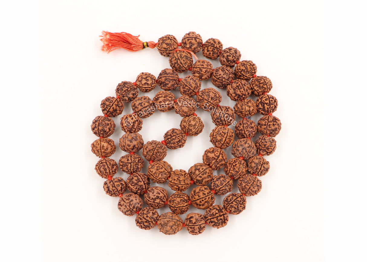 Arkam 5 mukhi Rudraksh Kantha Certified/ Rudraksha Kantha for wearing and worship/ Rudraksh Mala Big/ Five faced Rudraksh Kantha Mala (Size: 18-22mm, Length: 35inches, Beads: 54+1) - Retail Maharaj