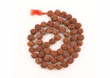 Arkam 5 mukhi Rudraksh Kantha Certified/ Rudraksha Kantha for wearing and worship/ Rudraksh Mala Big/ Five faced Rudraksh Kantha Mala (Size: 18-22mm, Length: 35inches, Beads: 54+1) - Retail Maharaj