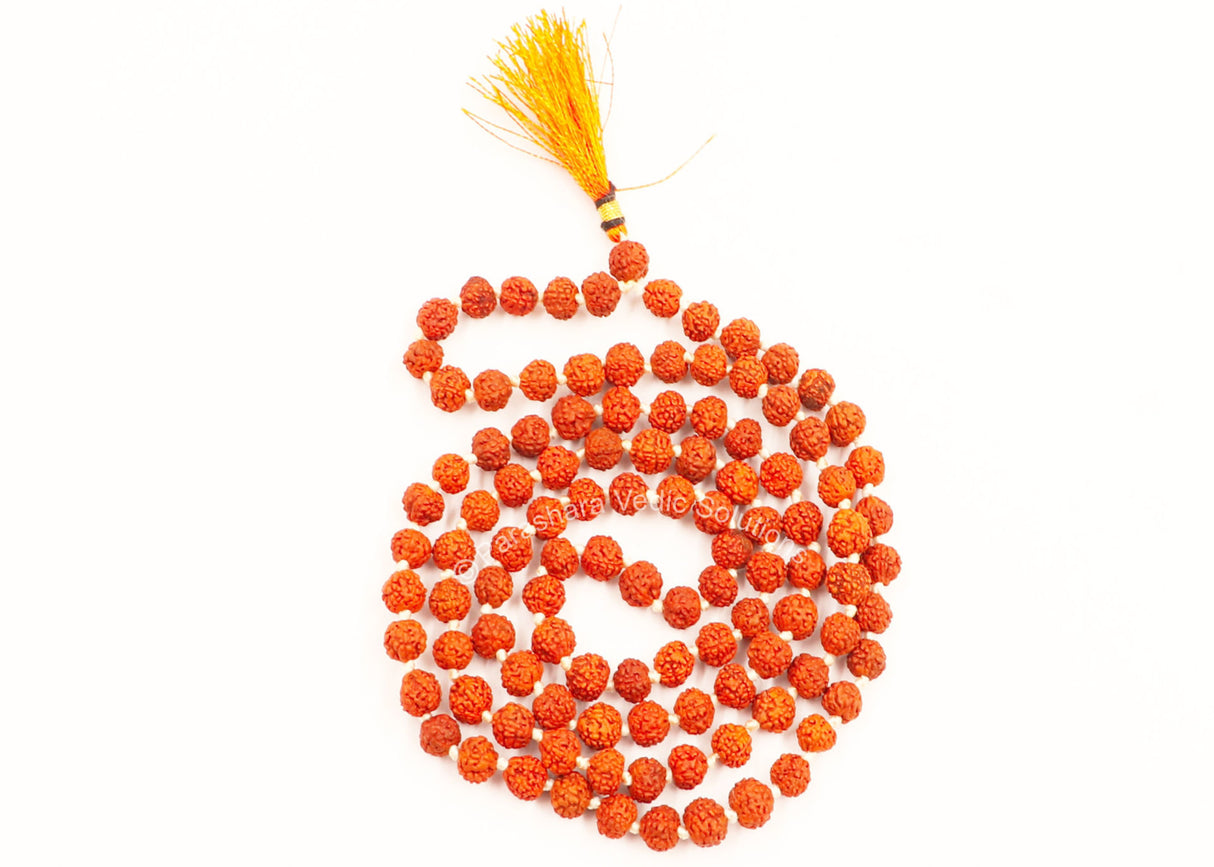 Arkam Rudraksha Mala/ Natural Rudraksh Mala/ Original Rudraksha mala/ Small Rudraksham Mala/ 5mm Rudraksha Rosary (Size: 5mm, Beads: 108+1) - Retail Maharaj