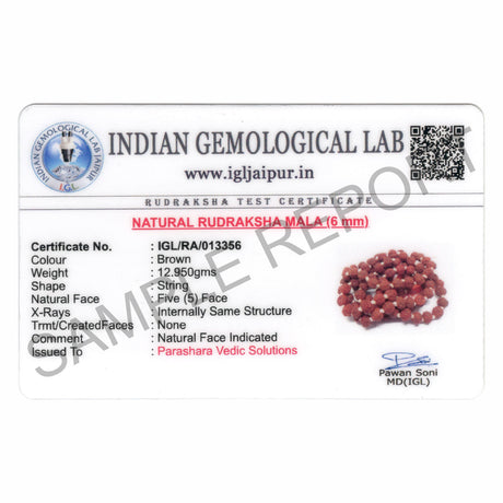 Arkam Rudraksha Mala/ Natural Rudraksh Mala/ Original Rudraksha mala/ Small Rudraksham Mala/ 6mm Rudraksha Rosary (Size: 6mm, Beads: 108+1) - Retail Maharaj