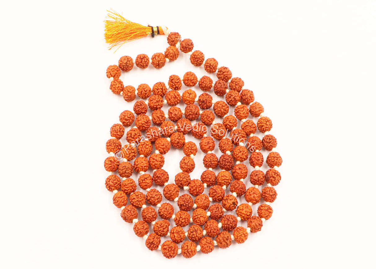 Arkam Rudraksha Mala/ Natural Rudraksh Mala/ Original Rudraksha mala/ Rudraksha Mala for men and women/ 7mm Rudraksha Rosary (Size: 7mm, Beads: 108+1) - Retail Maharaj