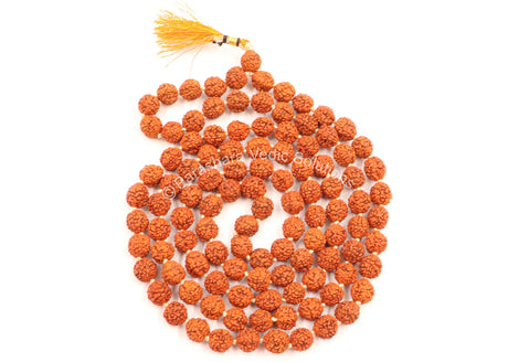 Arkam Rudraksha Mala/ Natural Rudraksh Mala/ Original Rudraksha mala/ Rudraksha Mala for jaap/ 8mm Rudraksha Rosary (Size: 8mm, Beads: 108+1) - Retail Maharaj