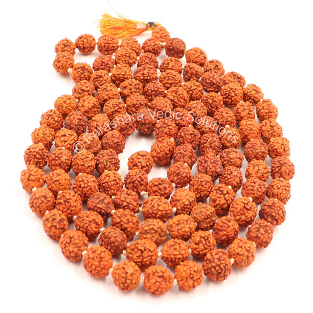 Arkam Rudraksha Mala/Natural Rudraksh Mala/Original Rudraksha mala/Rudraksha Mala for jaap/ 9mm Rudraksha Rosary (Size: 9mm, Beads: 108+1) - Retail Maharaj