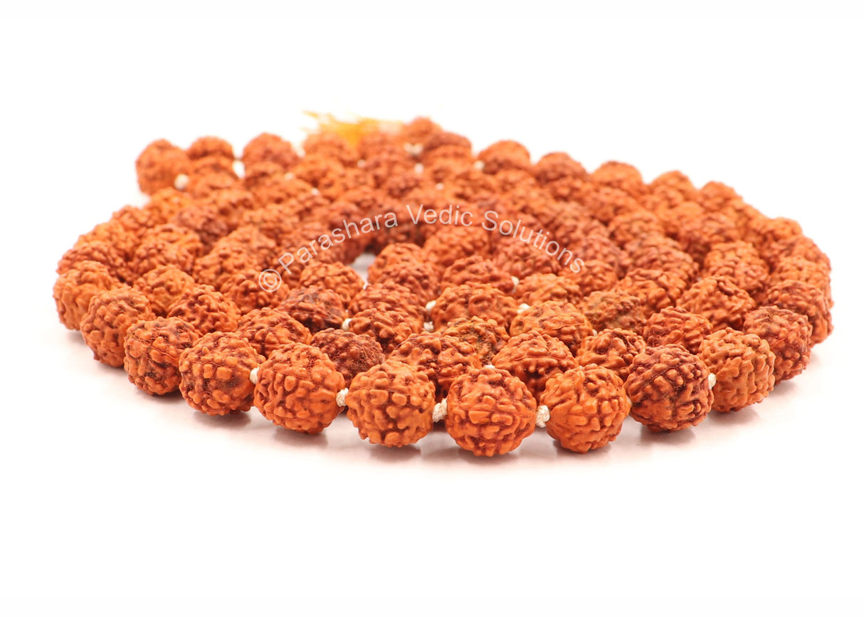 Arkam Rudraksha Mala/Natural Rudraksh Mala/Original Rudraksha mala/Rudraksha Mala for jaap/ 9mm Rudraksha Rosary (Size: 9mm, Beads: 108+1) - Retail Maharaj