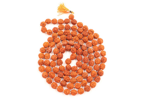 Arkam Rudraksha Mala/Natural Rudraksh Mala/Original Rudraksha mala/Rudraksha Mala for jaap/ 9mm Rudraksha Rosary (Size: 9mm, Beads: 108+1) - Retail Maharaj