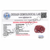 Arkam Rudraksha Mala/Natural Rudraksh Mala/Original Rudraksha mala/Rudraksha Mala for jaap/ 10mm Rudraksha Rosary (Size: 10mm, Beads: 108+1) - Retail Maharaj