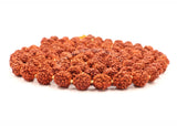 Arkam Rudraksha Mala/Natural Rudraksh Mala/Original Rudraksha mala/Rudraksha Mala for jaap/ 10mm Rudraksha Rosary (Size: 10mm, Beads: 108+1) - Retail Maharaj