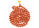 Arkam Rudraksha Mala/Natural Rudraksh Mala/Original Rudraksha mala/Rudraksha Mala for jaap/ 10mm Rudraksha Rosary (Size: 10mm, Beads: 108+1) - Retail Maharaj