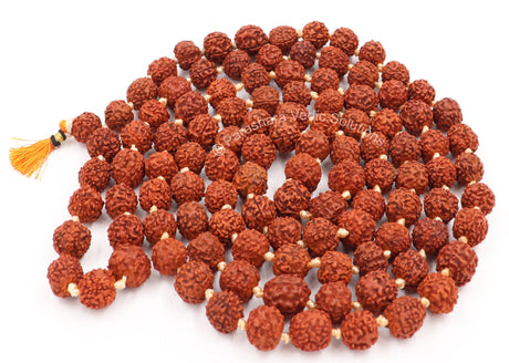 Arkam Rudraksha Mala Certified/Natural Rudraksh Mala/Original Rudraksha mala/Rudraksha Mala for jaap/ 12mm Rudraksha Rosary (Size: 12mm, Beads: 108+1) - Retail Maharaj