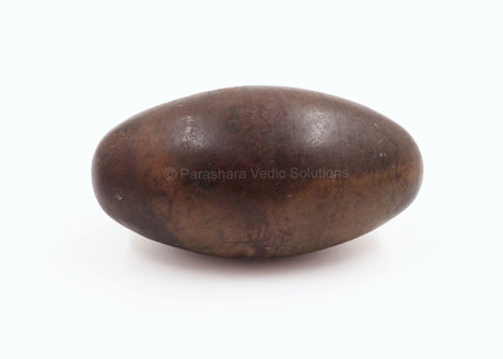 ARKAM Narmadeshwar Shivling/ Original Narmadeshwar Shivlinga/ Narmada Shivlinga/ Narmada River Shivalingam (Height: 3.5 inches, Color: Brown) - Retail Maharaj