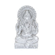 Arkam Parad Ganesh /Mercury Ganesha /Ganpati Statue /Ganesha Idol (64 grams) - Retail Maharaj