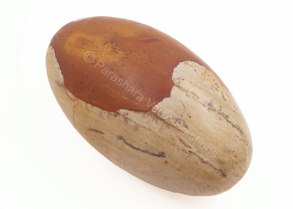ARKAM Narmadeshwar Shivling/ Original Narmadeshwar Shivlinga/ Narmada Shivlinga/ Narmada River Shivalingam (Height: 9 inches, Color: Brown) - Retail Maharaj