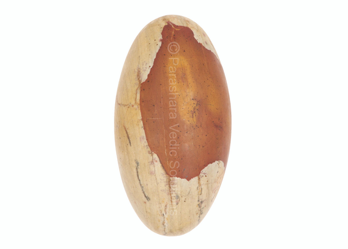 ARKAM Narmadeshwar Shivling/ Original Narmadeshwar Shivlinga/ Narmada Shivlinga/ Narmada River Shivalingam (Height: 9 inches, Color: Brown) - Retail Maharaj