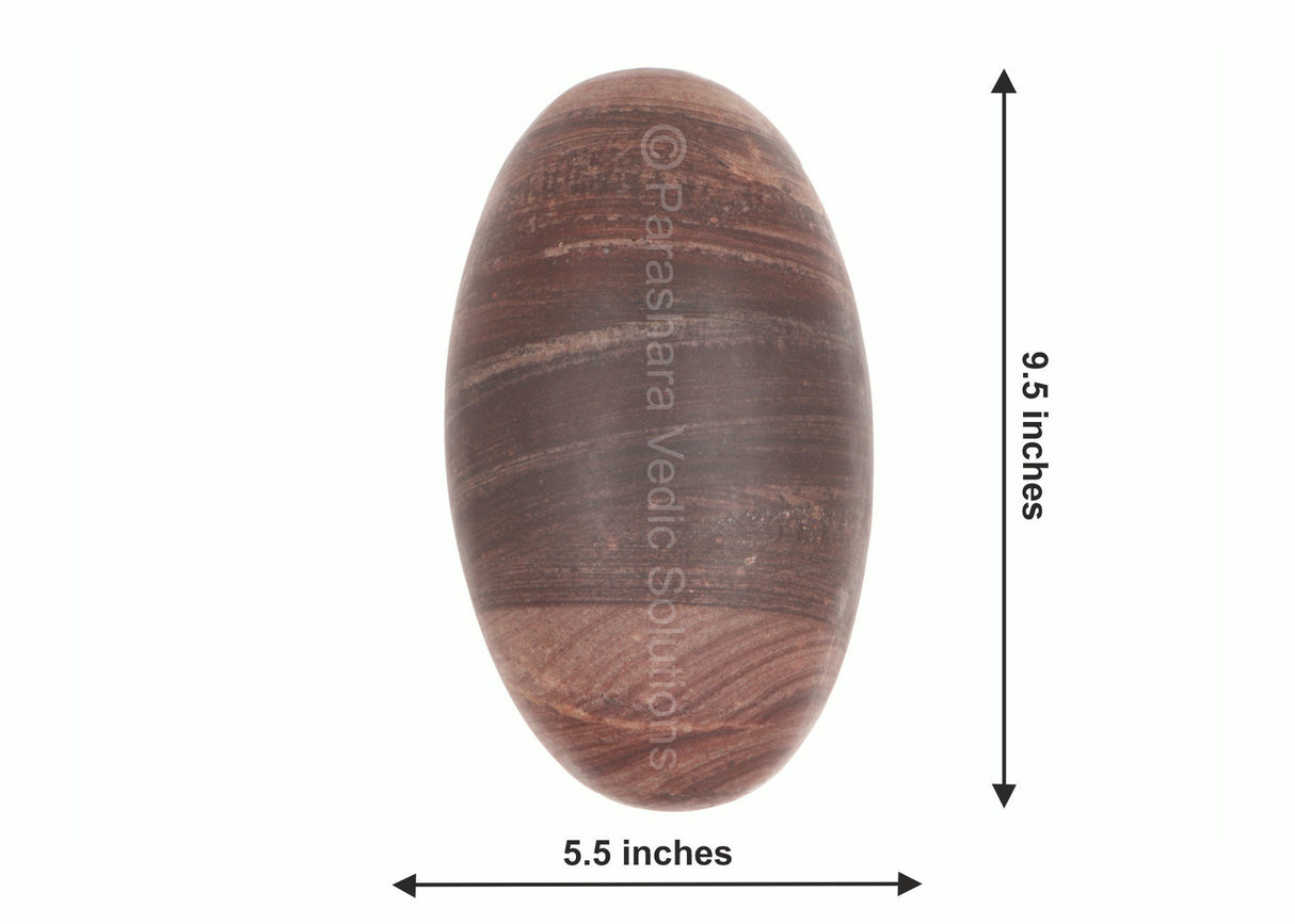 ARKAM Narmadeshwar Shivling/ Original Narmadeshwar Shivlinga/ Narmada Shivlinga/ Narmada River Shivalingam (Height: 9.5 inches, Color: Brown) - Retail Maharaj