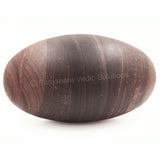 ARKAM Narmadeshwar Shivling/ Original Narmadeshwar Shivlinga/ Narmada Shivlinga/ Narmada River Shivalingam (Height: 9.5 inches, Color: Brown) - Retail Maharaj