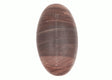 ARKAM Narmadeshwar Shivling/ Original Narmadeshwar Shivlinga/ Narmada Shivlinga/ Narmada River Shivalingam (Height: 9.5 inches, Color: Brown) - Retail Maharaj