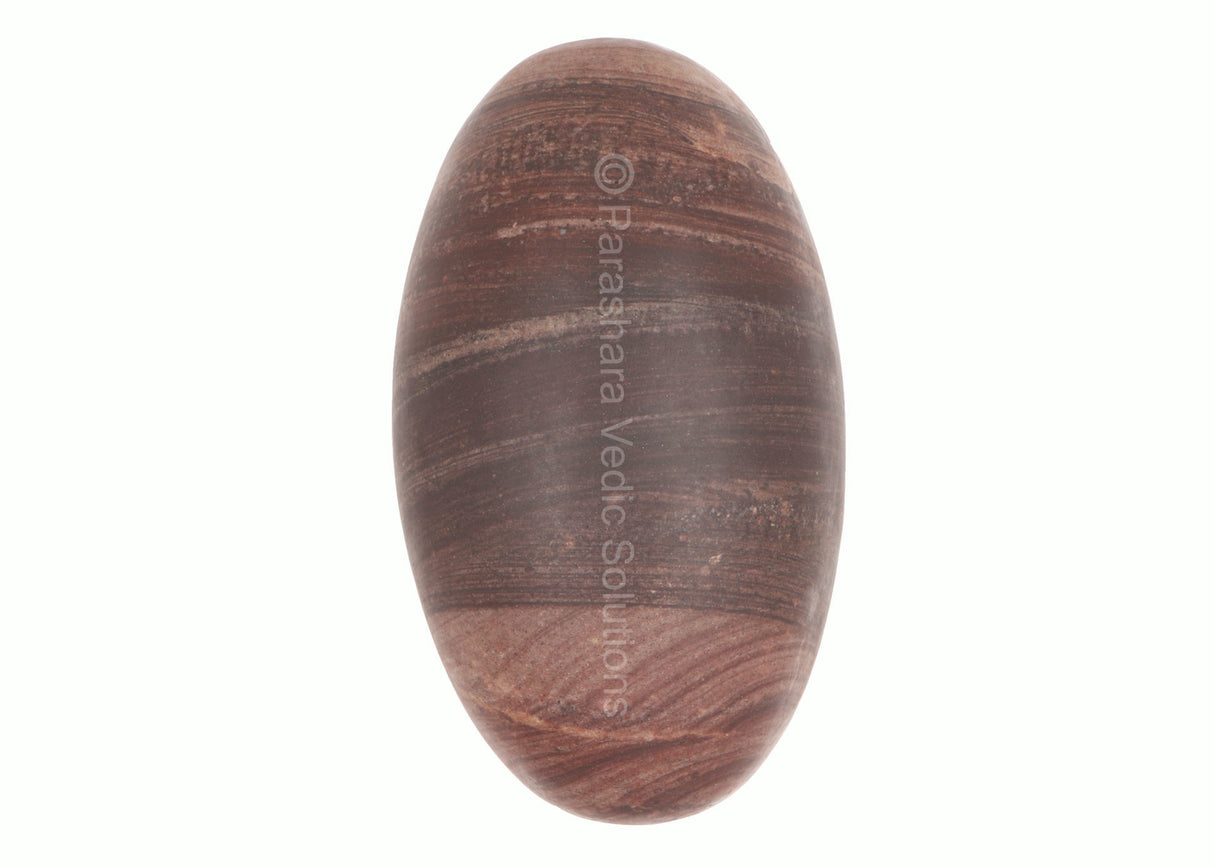 ARKAM Narmadeshwar Shivling/ Original Narmadeshwar Shivlinga/ Narmada Shivlinga/ Narmada River Shivalingam (Height: 9.5 inches, Color: Brown) - Retail Maharaj