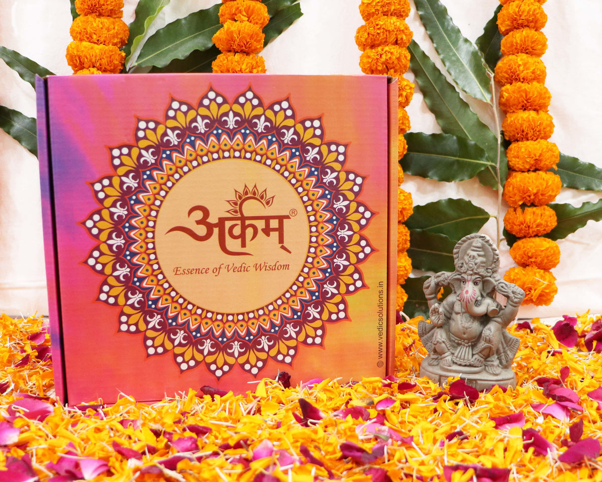 Arkam Ganesh Puja Samagri Kit for Ganesh Pujan with Mitti ke Ganesha/Ganpati Pujan/Ganesh Chaturthi Puja/Ganesh Utsav (35+ Items) with Detailed Puja Vidhi in Hindi - Retail Maharaj
