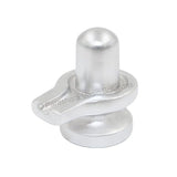 Arkam Parad Shivling /Parad Shivlinga /Mercury Shivling /Mercury Shivlinga (75 grams) - Retail Maharaj