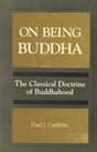 On Being Buddha - Retail Maharaj
