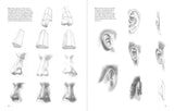 Head Study Simplifying the Human Head Drawing Guide by Tushar Moleshwari - Retail Maharaj