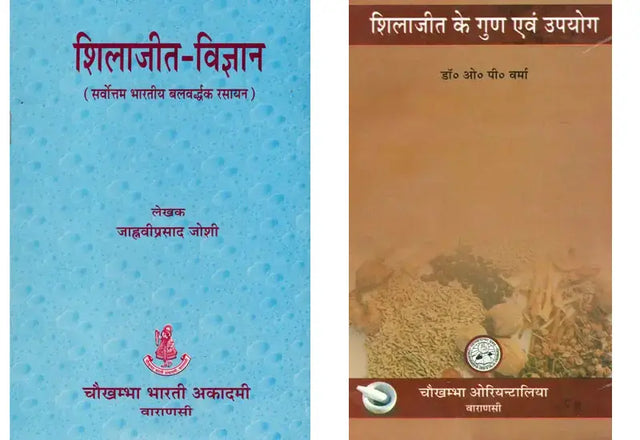 शिलाजीत (2 Books on Shilajit in Hindi) - Retail Maharaj