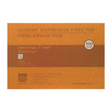 Baohong Academy Rough Surface Watercolour Paper Block 300 GSM 100 Percent Cotton - Retail Maharaj