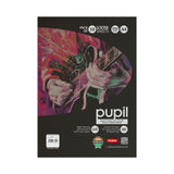 Anupam Pupil Black Toned Watercolour Paper A4 250 GSM Loose Sheets - Retail Maharaj