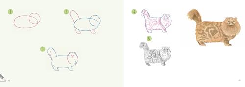 Cats: In Easy Steps (Draw 30 in Easy Steps) - Retail Maharaj