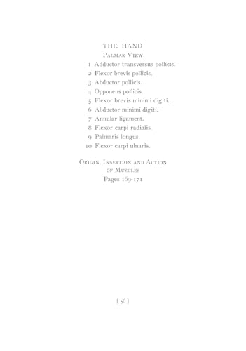 The Book of a Hundred Hands (Dover Anatomy for Artists) - Retail Maharaj