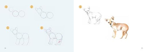Dogs in Easy Steps (Draw 30) - Retail Maharaj