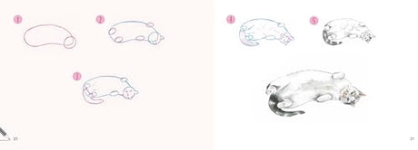 Cats: In Easy Steps (Draw 30 in Easy Steps) - Retail Maharaj