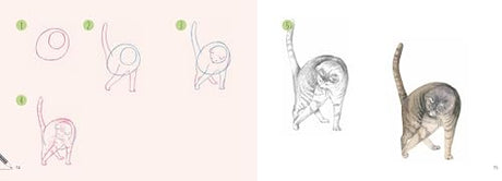 Cats: In Easy Steps (Draw 30 in Easy Steps) - Retail Maharaj