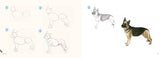 Dogs in Easy Steps (Draw 30) - Retail Maharaj