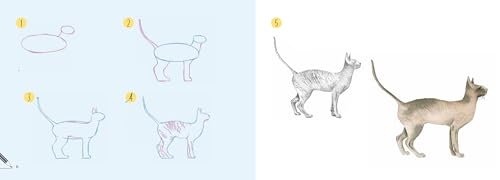 Cats: In Easy Steps (Draw 30 in Easy Steps) - Retail Maharaj